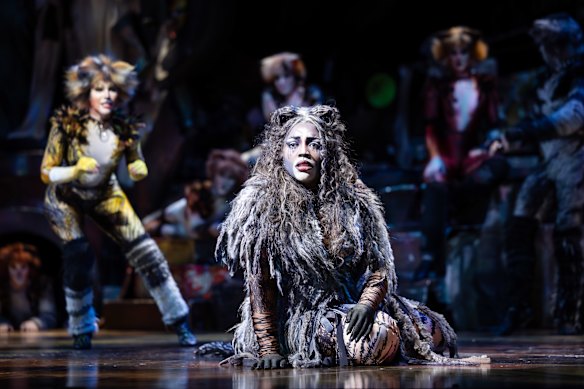 Gabriyel Thomas was a strong presence in the key role of Grizabella.