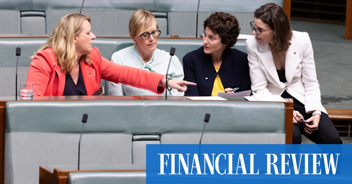 Federal election 2022: Wentworth MP Allegra Spender spent the most of the teals during the campaign - Vimarsana News