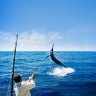 WA anglers in line for a 'sports fishing bonanza'