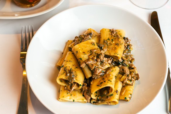 Pasta baronessa, a sauce of mushroom and chicken liver served on paccheri.