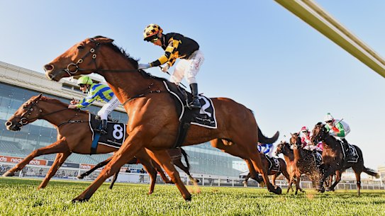 Behemoth and jockey Brett Prebble en route to victory. 