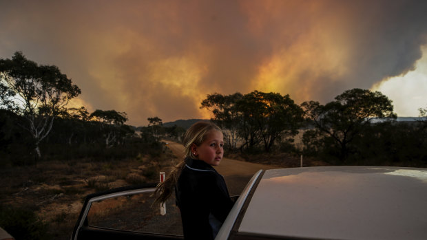 'Systematic failing': Children need special services in bushfire aftermath