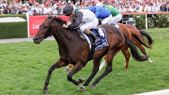 Mr Brightside (NZ) ridden by Luke Currie wins the All-Star Mile. 