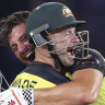 Finch’s flying side told to keep playing with bravado