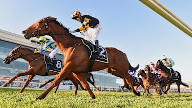 Behemoth and jockey Brett Prebble en route to Memsie Stakes victory last month. 