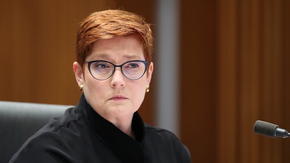 Minister for Foreign Affairs Marise Payne labelled the incident as ''grossly disturbing'' and ''offensive''. 