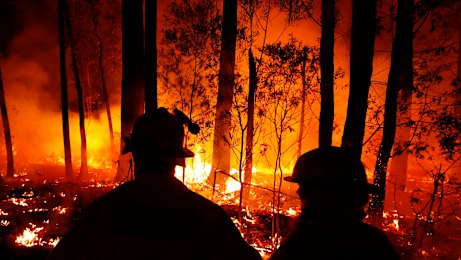 We need to invest in more research about how to fight and prevent bushfires.