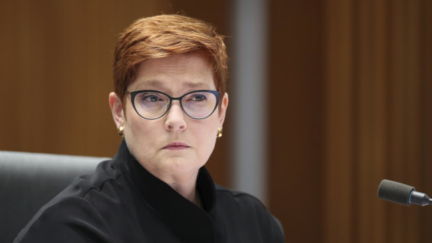 Minister for Foreign Affairs Marise Payne labelled the incident as ''grossly disturbing'' and ''offensive''. 
