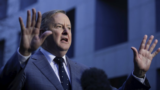 Federal Labor leader Anthony Albanese has been urged to conduct a wide-ranging review into branch stacking.