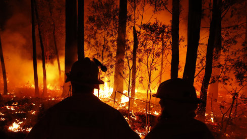 We need to invest in more research about how to fight and prevent bushfires.