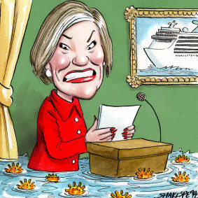 Carnival Australia chief executive Ann Sherry. Illustration: John Shakespeare