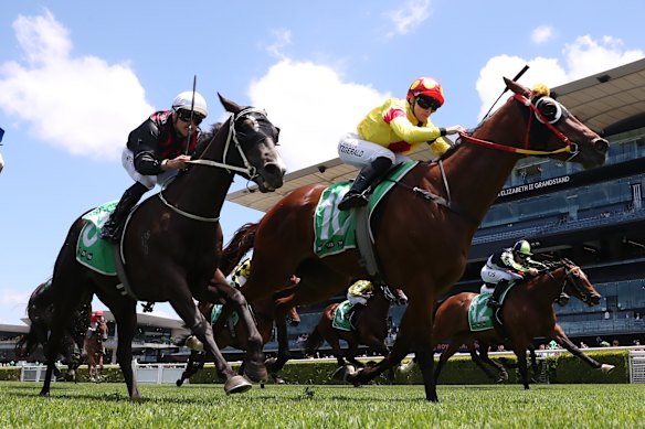 Mollie Fitzgerald wins on Cougars at Randwick on December 27