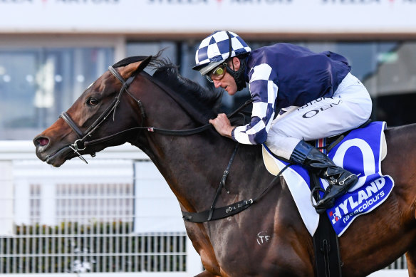 Russian Camelot with jockey Damien Oliver after his win at the Underwood Stakes last September. 