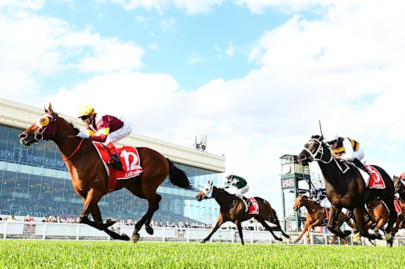 The brother of last year’s Makybe Diva Stakes winner Fierce Impact (pictured) could be looking to claim the title.