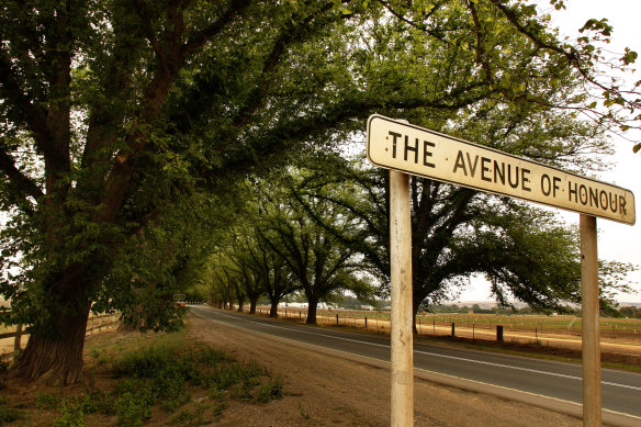 The Avenue of Honour before Bacchus Marsh. 