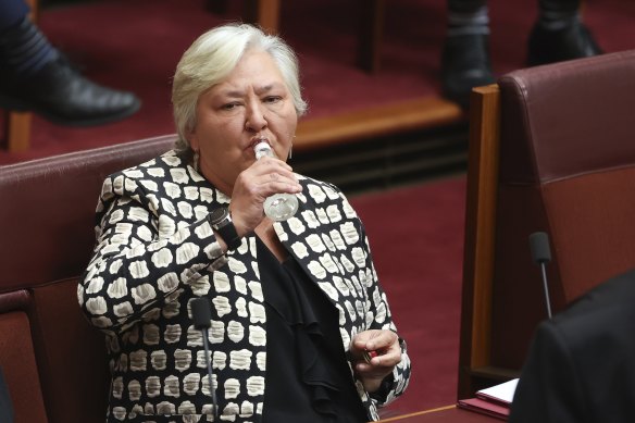 Nationals senator Sam McMahon takes a sip of water during a division in the Senate on Wednesday morning.