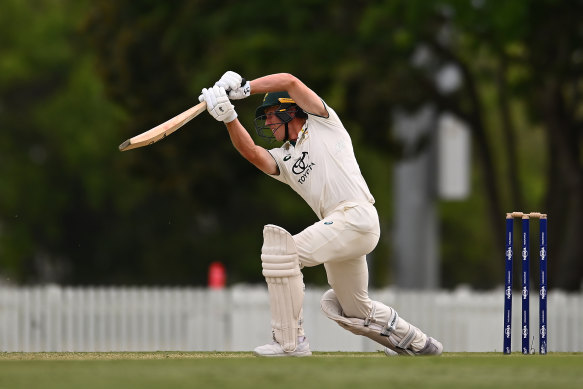 Backed by Davey: Nathan McSweeney has the support of David Warner.