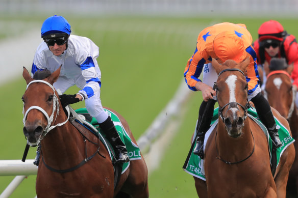 Glen Boss reunites with Epsom and Golden Eagle winner Kolding in Saturday's Expressway Stakes at Randwick.