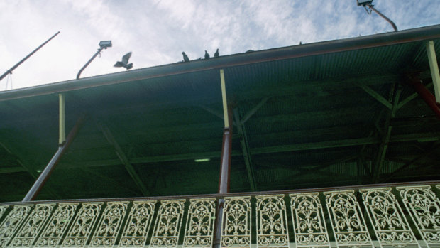 The historic grandstand at the Junction Oval.