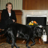 Germany’s then-chancellor Angela Merkel had to put up with Russian President Vladimir Putin’s dog at a meeting at his residence in 2007. He knew she was afraid of dogs.