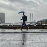 ‘Nuisance’ rain on the way as Melbourne’s cold, foggy mornings roll on