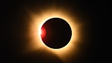 All eyes were on the sky this week as a once-in-a-generation total eclipse was visible across parts of Europe, the UK and Russia, Greenland and Iceland.