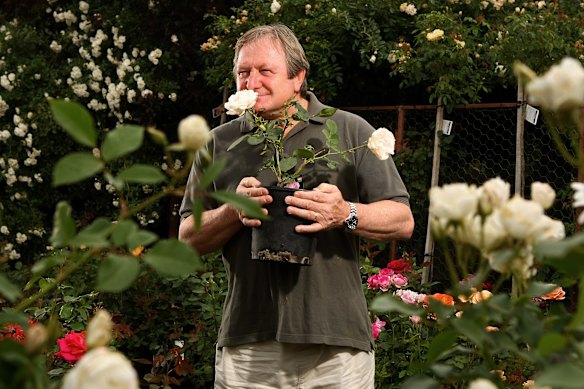 Former Essendon coach Kevin Sheedy stops to smell the roses at the Kilmore Rose Cafe.