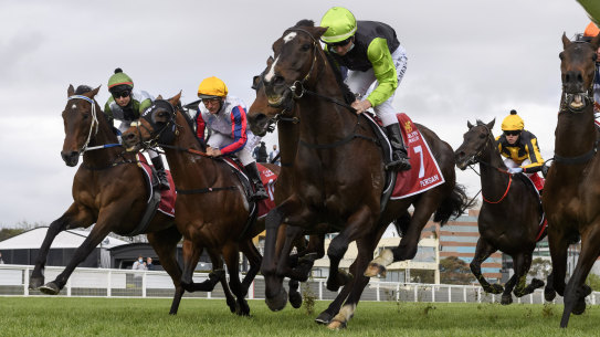 Brett Prebble riding Incentivise (L) in to the first turn before winning the Caulfield Cup