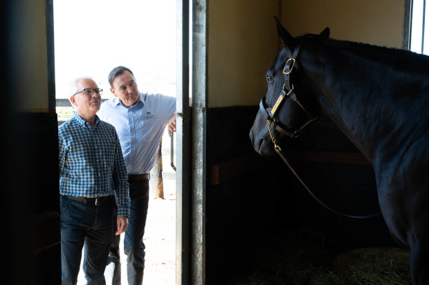 Tony O’Driscoll of Newgate Stud Farm and Hunter Thoroughbred Association president Cameron Collins with stallion North Pacific.