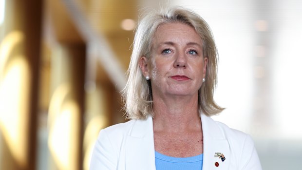 Senator Bridget McKenzie.