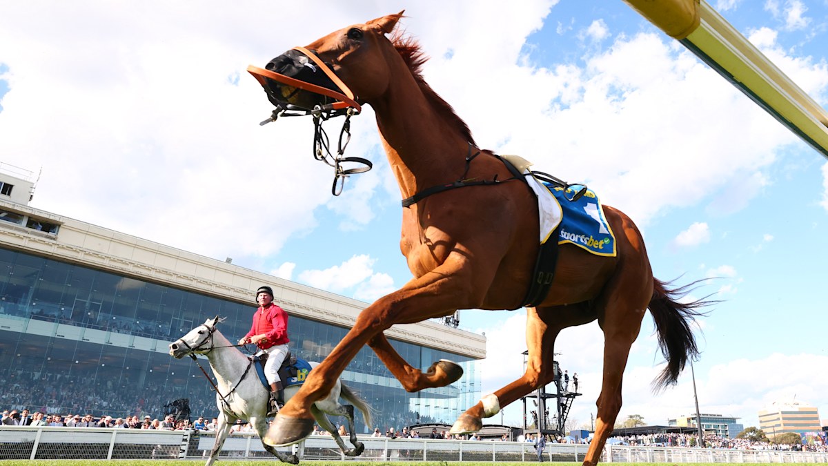 Melbourne Cup 2026 news, Half Yours to be withdrawn after Caulfield Cup ...