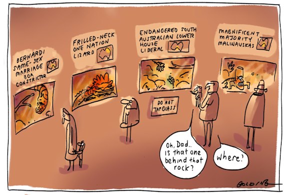 South Australia under glass.