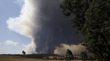Hot, dry westerly winds created extreme bushfire conditions in southeast Australia this week. Smoke plume from bushfire seen near Sarsfield in East Gippsland on Monday.