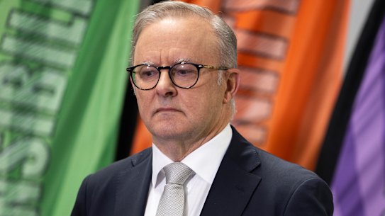 Anthony Albanese is hopeful more low-cost airlines will enter the Australian market.