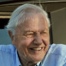 Attenborough to set out vision for future in new book