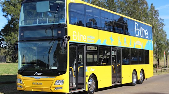 Councils hope the rapid bus links will be similar to the $514 million B-Line bus project to Sydney's northern beaches. 