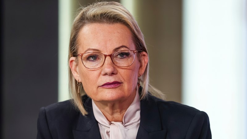 ‘I was completely singled out’: Sussan Ley’s past fuels her determination to fix party’s future
