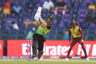 David Warner played a ferocious innings to secure a win over the West Indies.