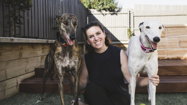 Martina Taliano is helping to rehome greyhounds in Canberra ahead of the last greyhound racing meet later this month.