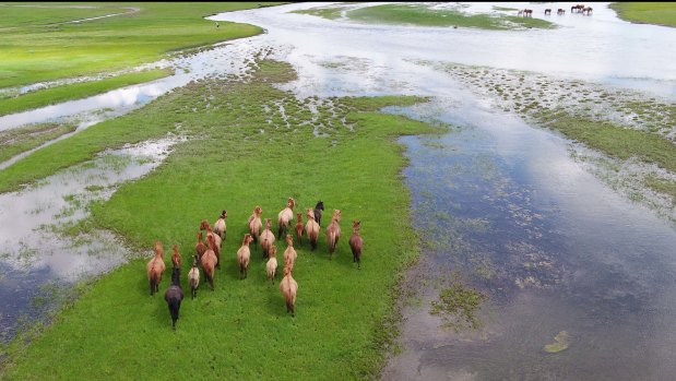 The derby traverses 1000 kilometres across Mongolia. 