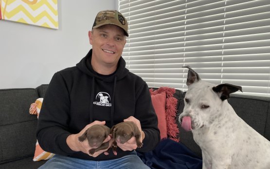 With no more room left at their shelter, K9 Rescue Group president Jake King looked after two dogs and their puppies in his own home.