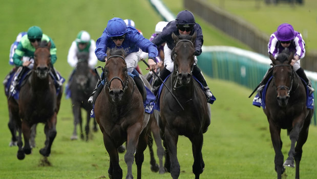 Pinatubo (in blue) wins the Dewhurst Stakes at Newmarket in October, 2019.