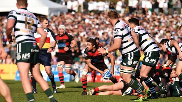Packed: North Sydney Oval at the 2017 Shute Shield final.