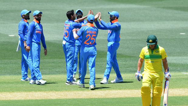 Indian players celebrate the dismissal of Aaron Finch.