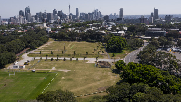 Grass fields at the northern end of Moore Park have long been used for parking during events.