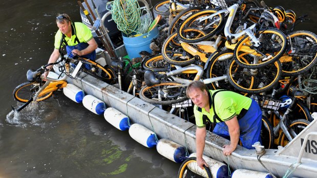 Contractors for O bike collect bicycles from Melbourne's Yarra River.