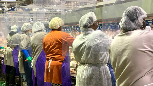 Tyson Foods workers in Georgia wear protective masks and stand between plastic dividers. The company is now mandating vaccinations.