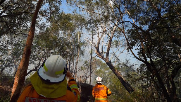 Captain Craig Byrne (right) from the Grays Point Rural Fire Service with his crew watch water bombing as they monitor a fire in bushland off Windle Place in Menai, Sydney.