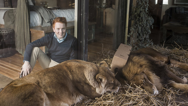 We sent our colleague Eamonn Tiernan to spend a night with a lion. He survived.