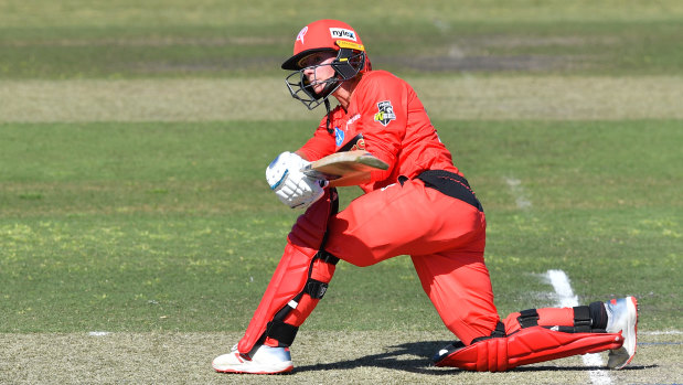 On the offensive: Danielle Wyatt takes the long handle against the Strikers' attack during their WBBL match at Rolton Oval in Adelaide on Sunday.